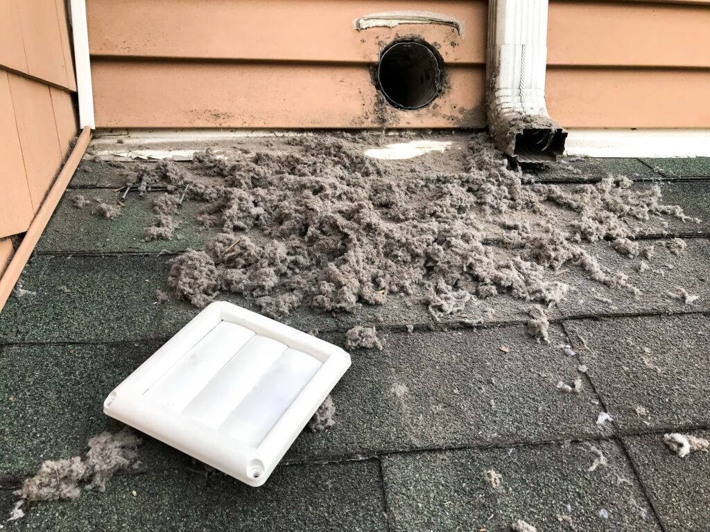Lint collected from the dryer Lint collected from the dryer after cleaning the vent